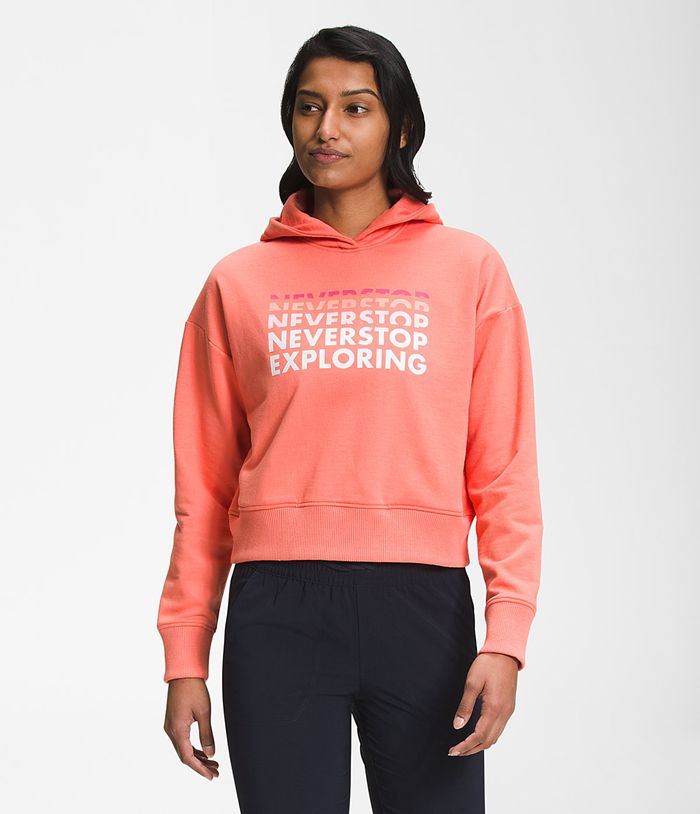 Sudadera Con Capucha The North Face Mujer Logo Play - Colombia QEGVRP428 - Naranjas